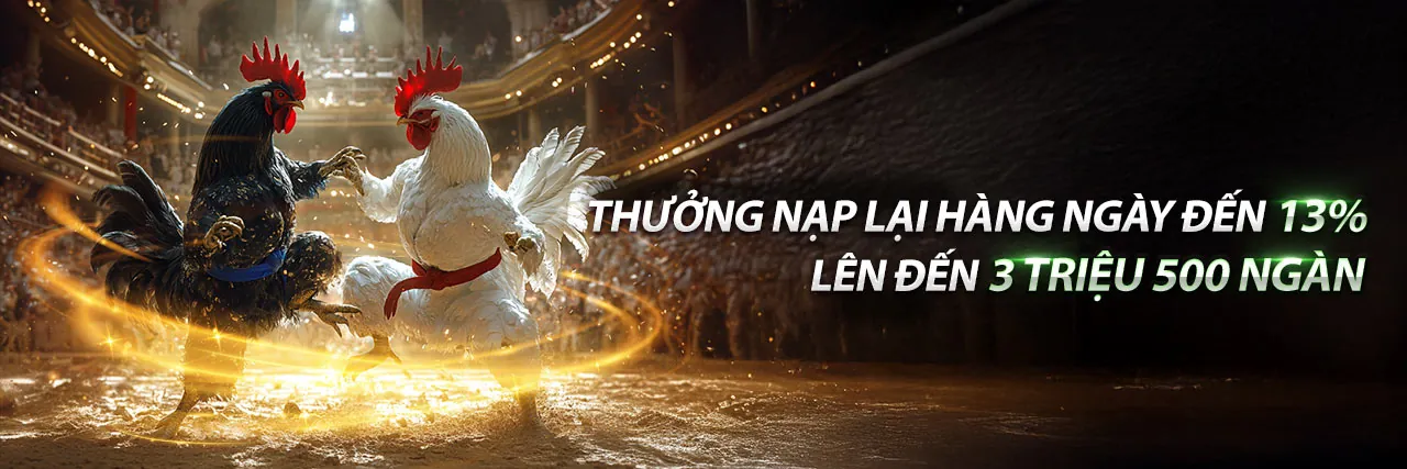 Các phương thức thanh toán an toàn và nhanh chóng tại Vibbet
