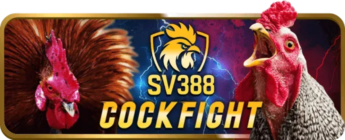 Hình ảnh đội ngũ hỗ trợ khách hàng của Vibbet