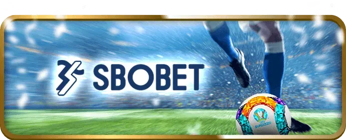 Đội ngũ hỗ trợ khách hàng tận tâm của Vibbet