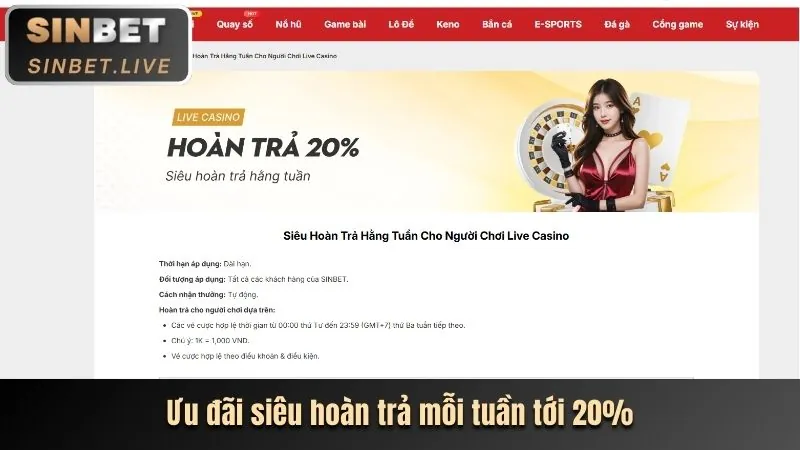 Tại Sao Nên Chọn Nền Tảng Giải Trí Vibbet?
